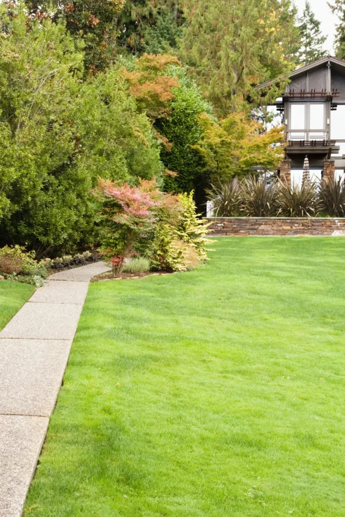 Landscaping and Lawn Care in Bath PA