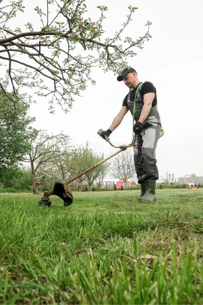 Landscaping and Lawn Care in Bethlehem PA