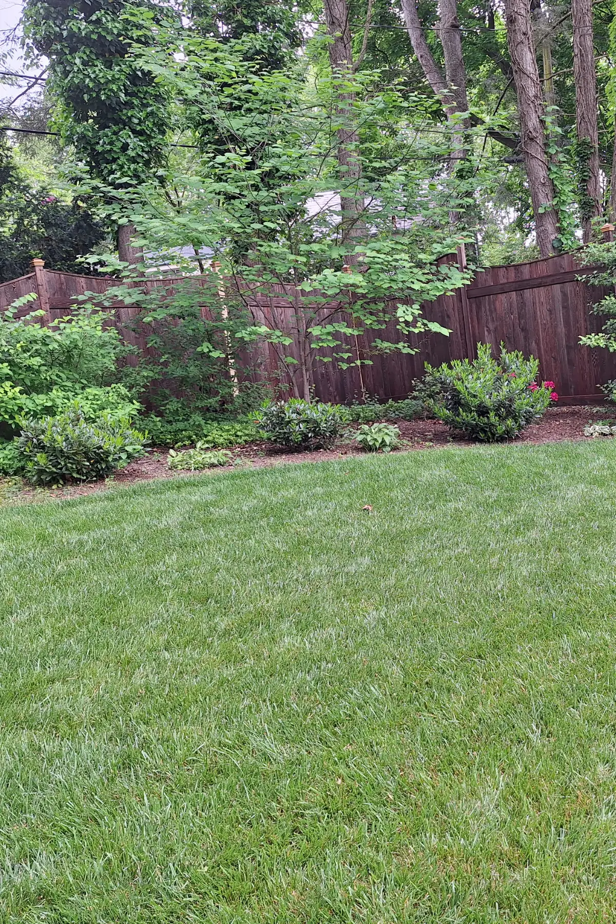 Landscaping and Lawn Care in Whitehall PA