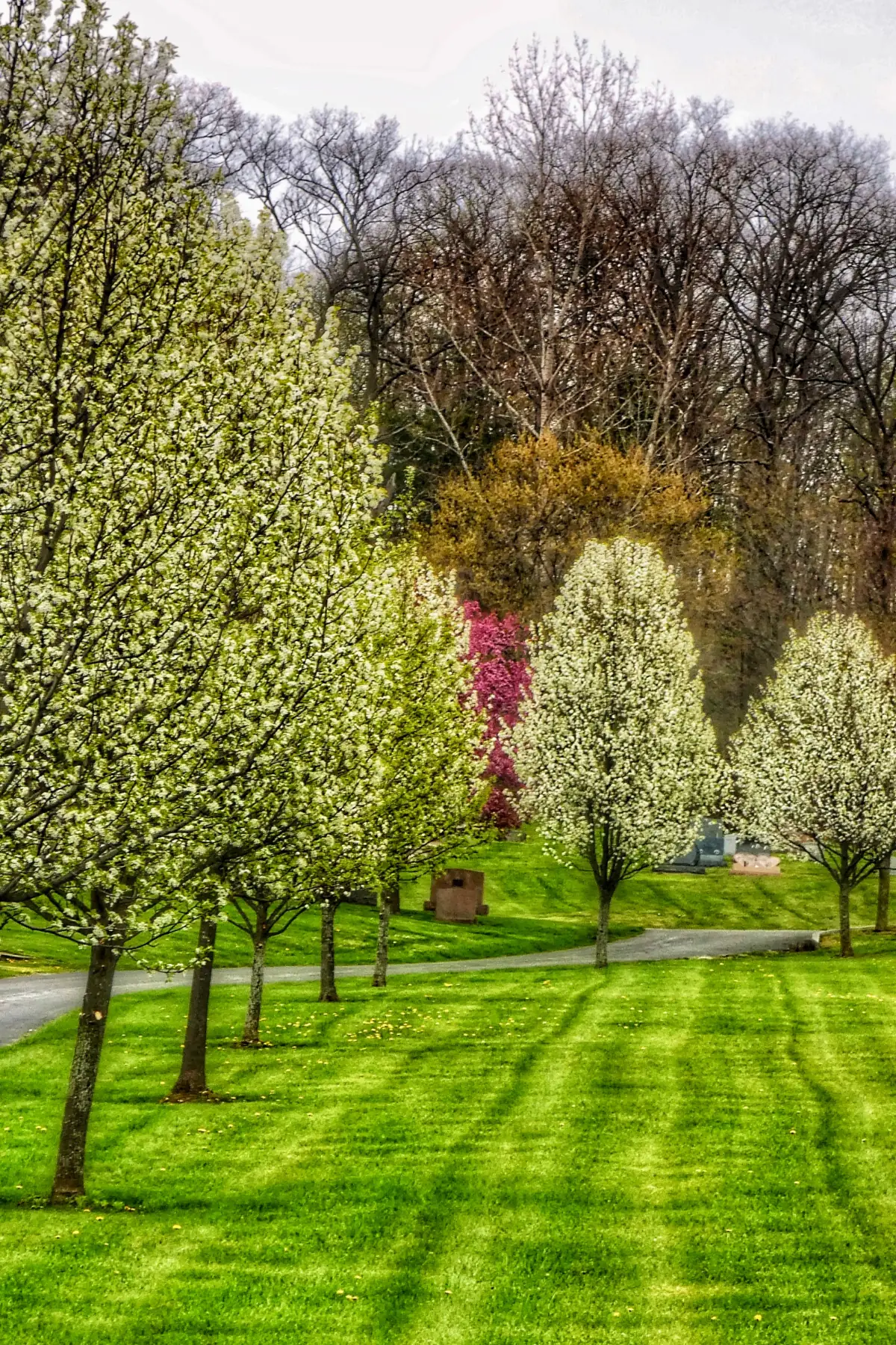 Landscaping in Hanover Township