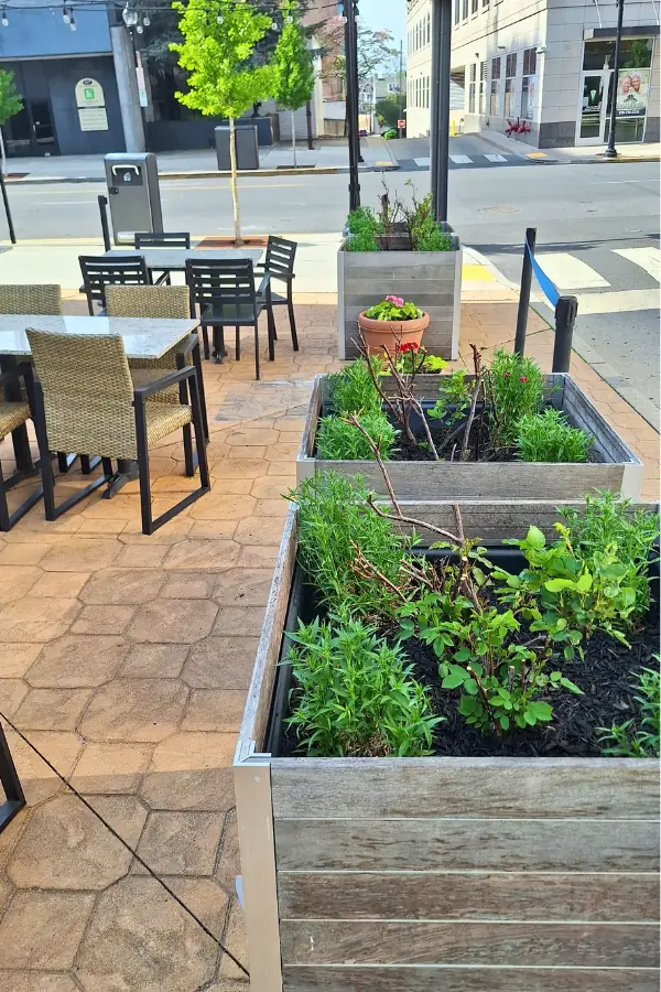 Scapes Design Commercial Landscaping
