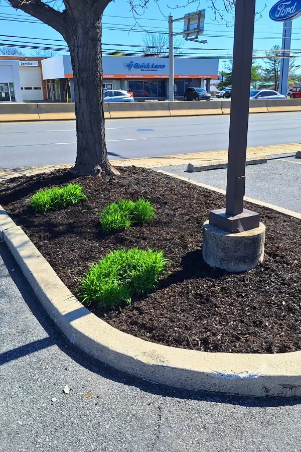 Commercial Landscaping 2