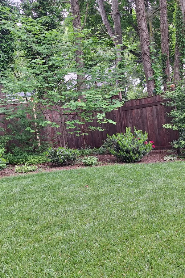 Landscape Installation in the Lehigh Valley