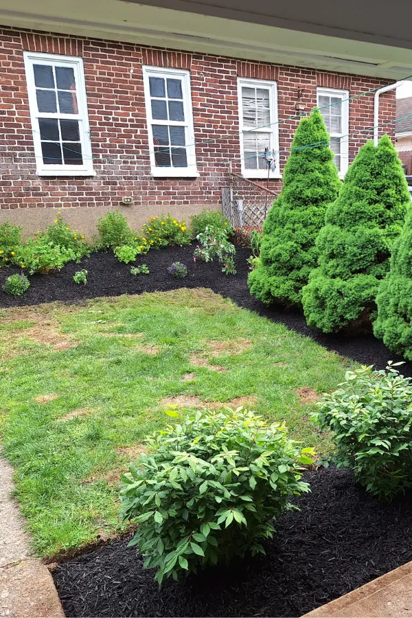 Landscape Installation in the Lehigh Valley
