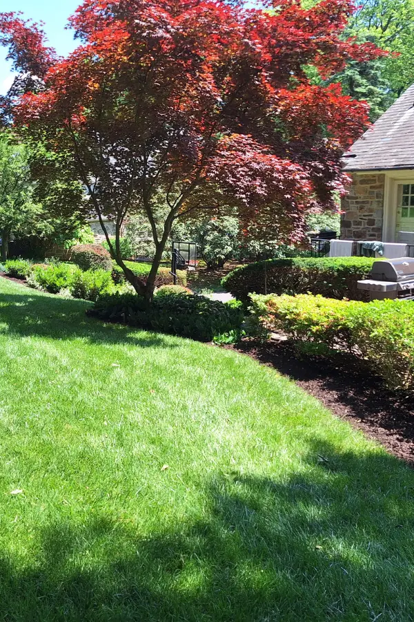 Residential Landscape 3